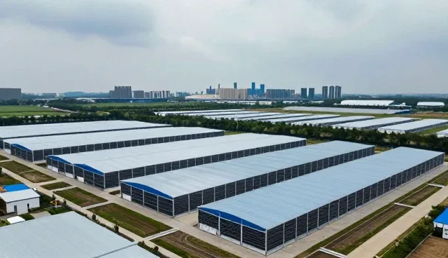 数字化发展中技术支持的实用维护建议